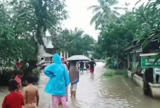 Warga di Lokasi Banjir Diminta Waspadai Buaya & Ular