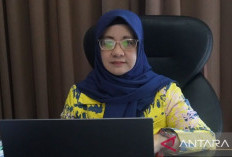 Realisasi Penyaluran KUR Capai 29 Persen