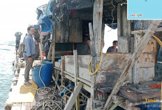  6 Ponton Selam & 19 Pekerja Tambang Ilegal Polisi