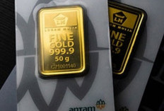 Emas 74 Kg di Rumah Febrie?