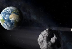 Asteroid Raksasa akan Dekati Bumi 