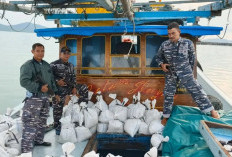 Blokir Penyelundupan Timah dari Babel Dengan Program Militer