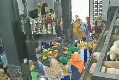 Viral! Rumah Mewah Lantai 2 dari Marmer, Ternyata Kandang Kambing