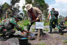 Kodim 0413/Bangka Tanam 300 Buah di Lahan Kritis