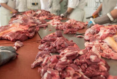 Ini Pembagian Daging Kurban di Idul Adha!