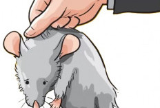 Menunggu Kasus Timah Corporate, Siapa Tersangka Baru?