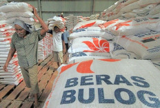 Bulog Sumsel-Babel Pastikan Stok Beras Cukup