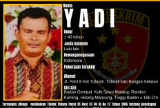 Diduga Lecehkan Anak Bawah Umur, 'Penjahat Kelamin' Diburu