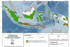 Babel Terus Berpotensi Hujan dan Petir
