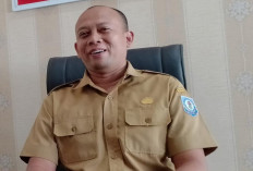 Dinas Kesehatan Bangka Selatan Sebut Kasus DBD dan DD Meningkat 