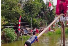  Heboh Panjat Pinang Berhadiah Janda Muda