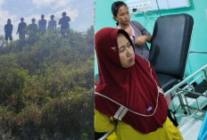 Dua Warga Diterkam Buaya di Lokasi Berbeda, 1 Tewas, 1 Selamat