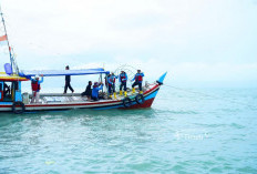 PT Timah Tenggelamkan Artificial Reef: Nelayan Tanjung Kubu Jadi Lebih Mudah Tangkap Ikan