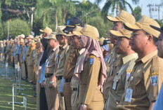 Pemprov Buka Peluang Buka Rekrutmen CPNS/CPPPK 2024