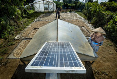 BRI Perkuat Kontribusi terhadap SDGs