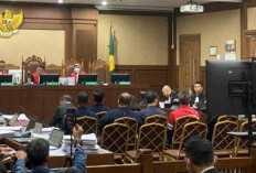  Ahli Pidana Dalam Sidang Tipikor Timah, Tak Bisa UU Tipikor