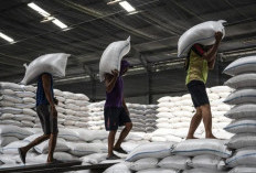 Disperindag Pastikan Stok Beras Mencukupi