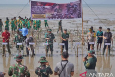 Forkopimda Bangka Barat Tanam Bibit Mangrove di Teluk Rubiah