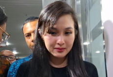 Kasus Tipikor Timah, Hendry Lie Masih di Luar? Sandra Dewi tak Tersangka! 
