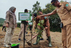 BPDAS Baturusa Tanam Ribuan Pohon di Sungailiat 