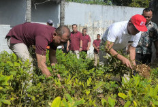 Panen Kacang Tanah dan Pakcoy di Lapas