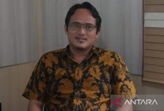 Realisasi Pajak Pangkalpinang Rp 68,03 Miliar