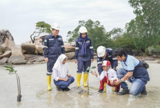 Program Pengelolaan Lingkungan   PT Timah untuk Masa Depan Bumi