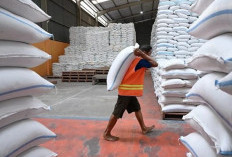 El Nino Dipastikan Tak Ganggu Ketahanan Pangan
