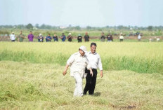 Bagi-bagi Duit Rp 10 Juta dari Mentan, Mau? Baca ini...