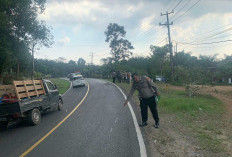 Potongan Plat Nomor Jadi Petunjuk Pengungkapan Tabrak Lari