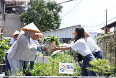 CSR BRI Raih Pengakuan Global