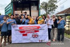 Disperindag Babel Kawal Ekspor Daun Manggis ke Inggris