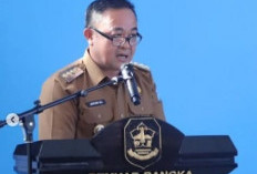 Aplikasi Sedulang Berhasil Tingkatkan PAD Bangka