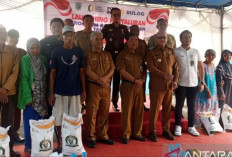 Pemkab Belitung Salurkan Beras Kepada Ribuan Masyarakat Rawan Pangan & Gizi