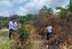 Predator Seksual Anak Sembunyi di Kebun 