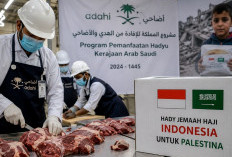 Dam Haji Disalurkan ke Palestina