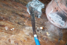 Tak Terima Dinasehati karena Merusak Rumah, Pemuda di Toboali Kejar Kakak dengan Parang