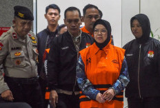 Negeri Para Koruptor, Jampidsus Terjerat, 15 Kepala Daerah Dijaring KPK