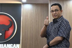 Anies Gagal Maju Pilkada Jakarta, Disarankan Masuk Partai Parpol, 