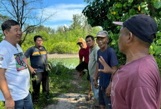 Peringati Hari Hutan, Kamarudin Ajak Masyarakat Beltim Menjaga Paru-paru Dunia