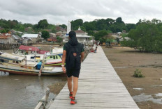 Ayo Jelajahi Keunikan Pulau Pongok Dalam Pongok Trail Run