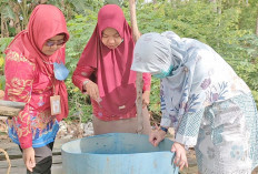 Warga Tikung Yaden Meninggal Terserang DBD,  Puskesmas Toboali Lakukan Fogging