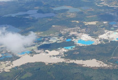  Hutan Lubuk yang tak Lagi Perawan, Semua Diperkosa Penyamun!