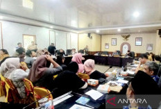 DPRD Babel Bahas Rencana PLTN di Pulau Kelasa