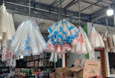 Naiknya Harga Plastik, Pelan Tapi Terasa? Dampak Perang Hingga ke Dapur 