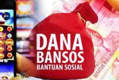 PPATK Diminta Segera Verifikasi Data, Penerima Bansos Terkait Judol