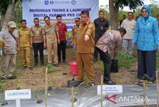 Pemprov Sediakan 200 Ribu Bibit Cabai