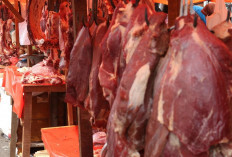 Harga Daging Sapi dan Ayam Relatif Stabil