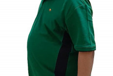   Herman Fu Nongol di Kejati Babel!