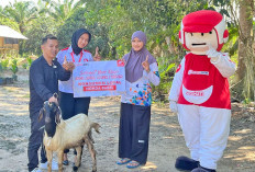 Honda Babel Berbagi Hewan Qurban